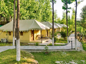Dev Bhoomi Farms & Cottages